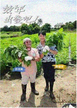 山海慢行记 户外旅行综艺在线看